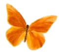 Image of butterfly.gif